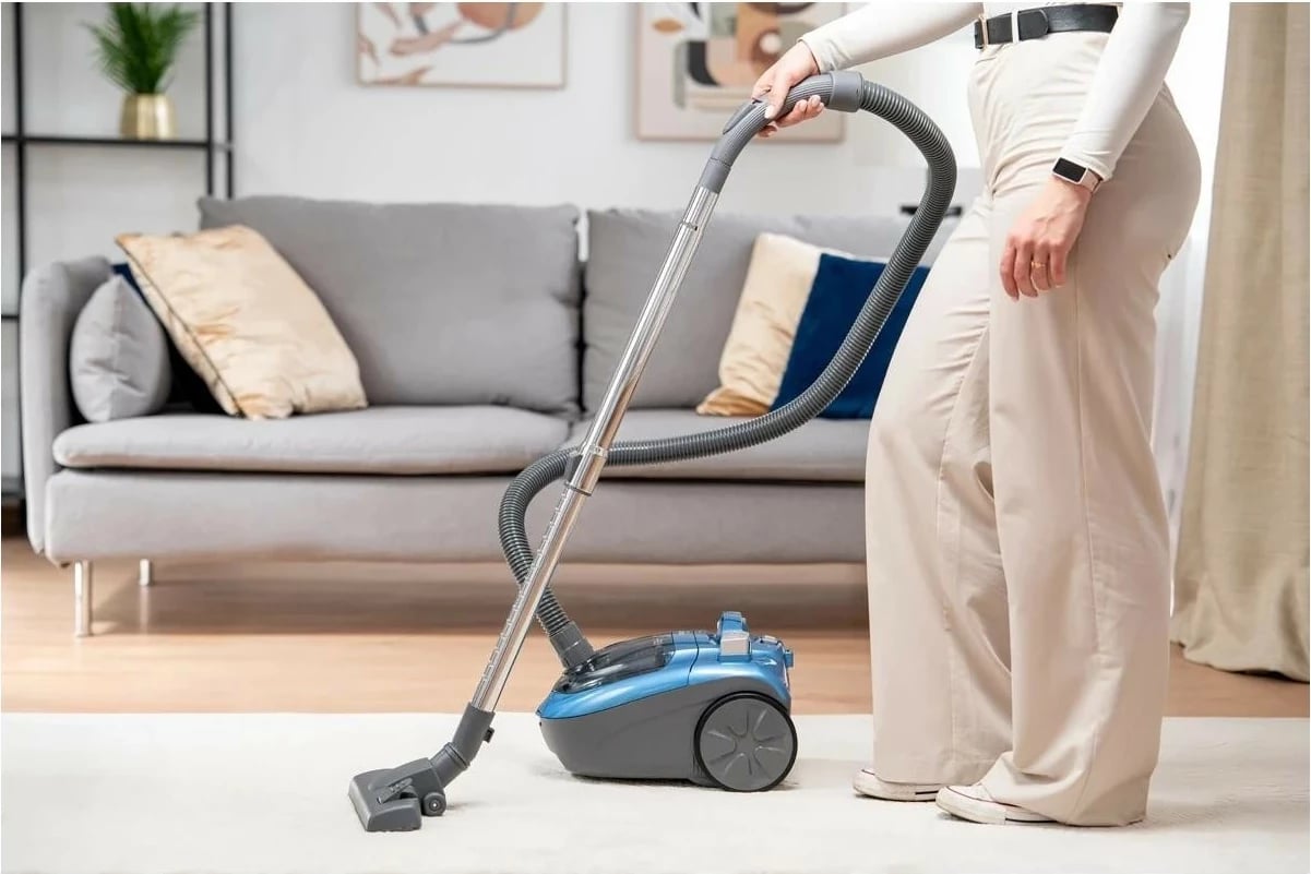 Kasë fshesë Zelmer ZVC032P, 2.5L, 800W, e gjelbër