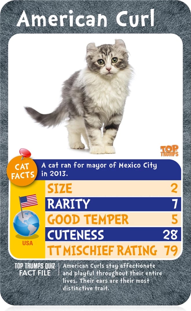 Cats - Who is the Most Mischievous? Top Trump Card Game