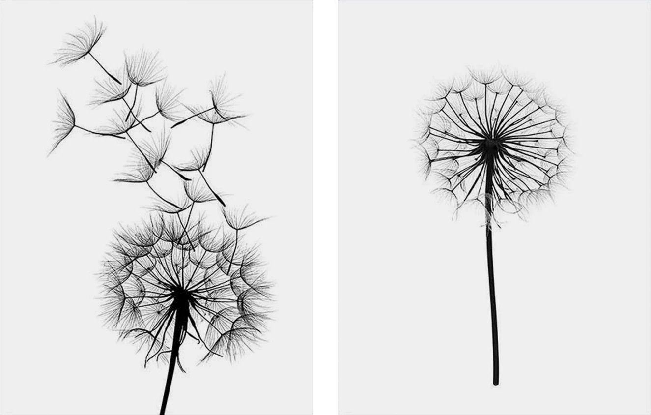 Set kanavacash 2 pjesësh MDF Dandelion FH7203.02 60x40x2,7 cm