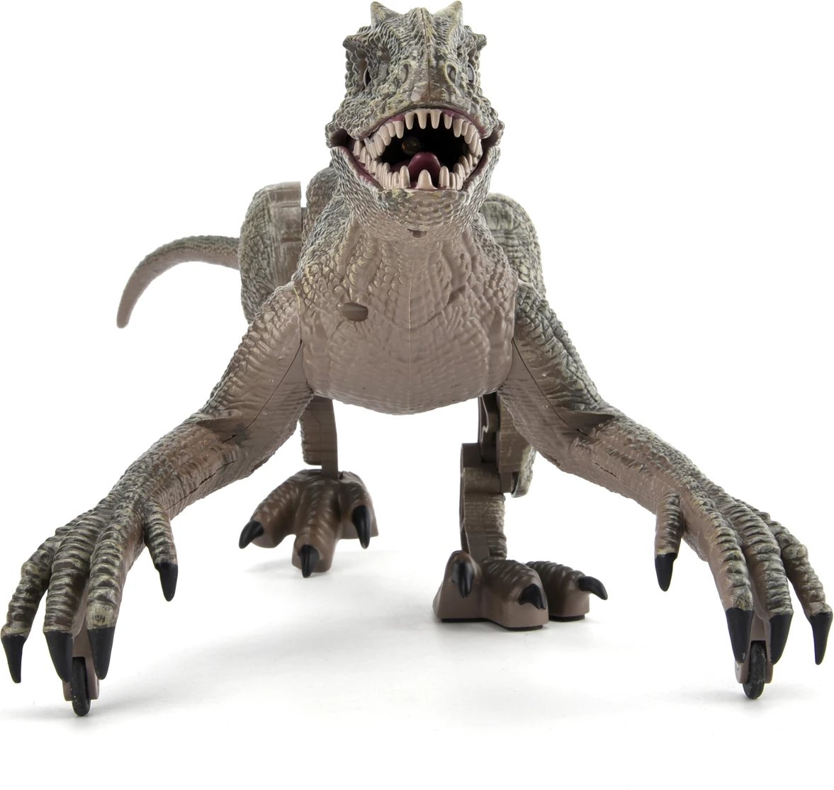 RC Roaring Raptor Grey Remote Control Dinosaur