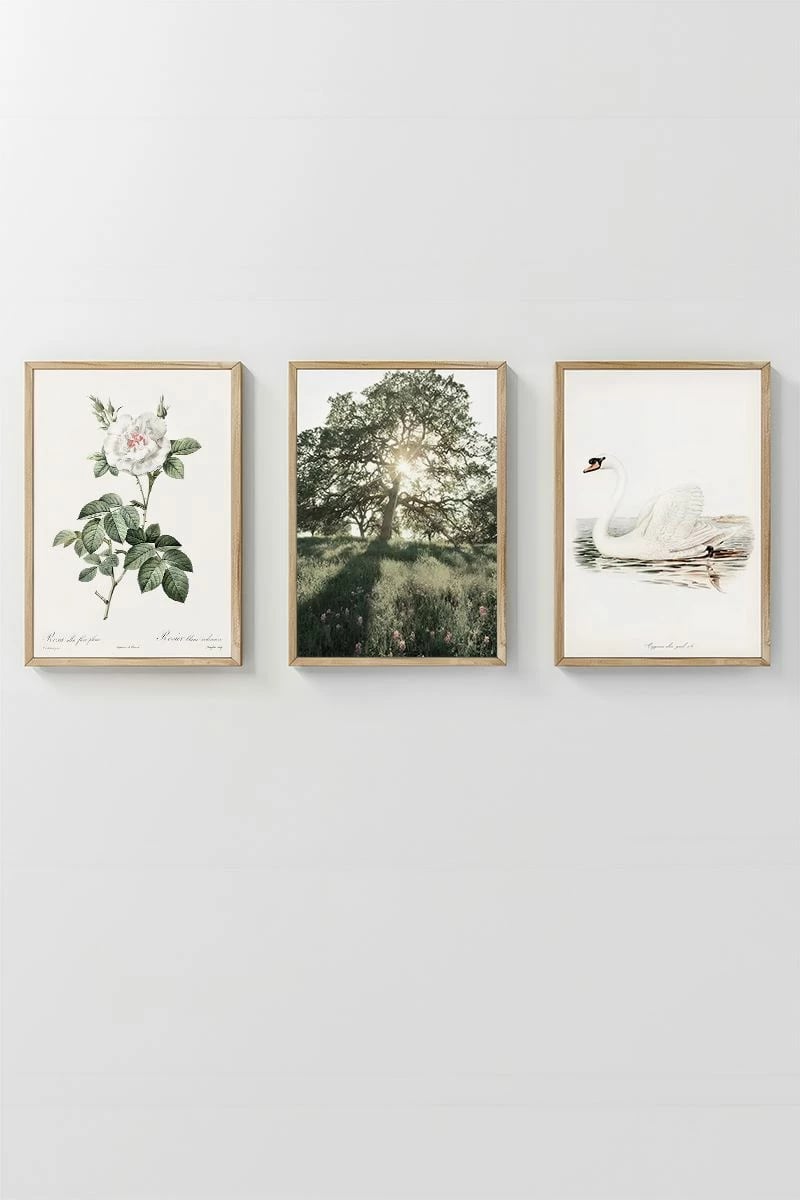 Pikturë dekorative me kornizë (3 copë), Wallity, Artavessastko63