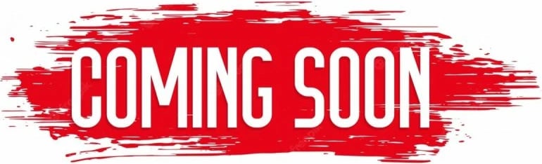 Duks për meshkuj Champion, i zi