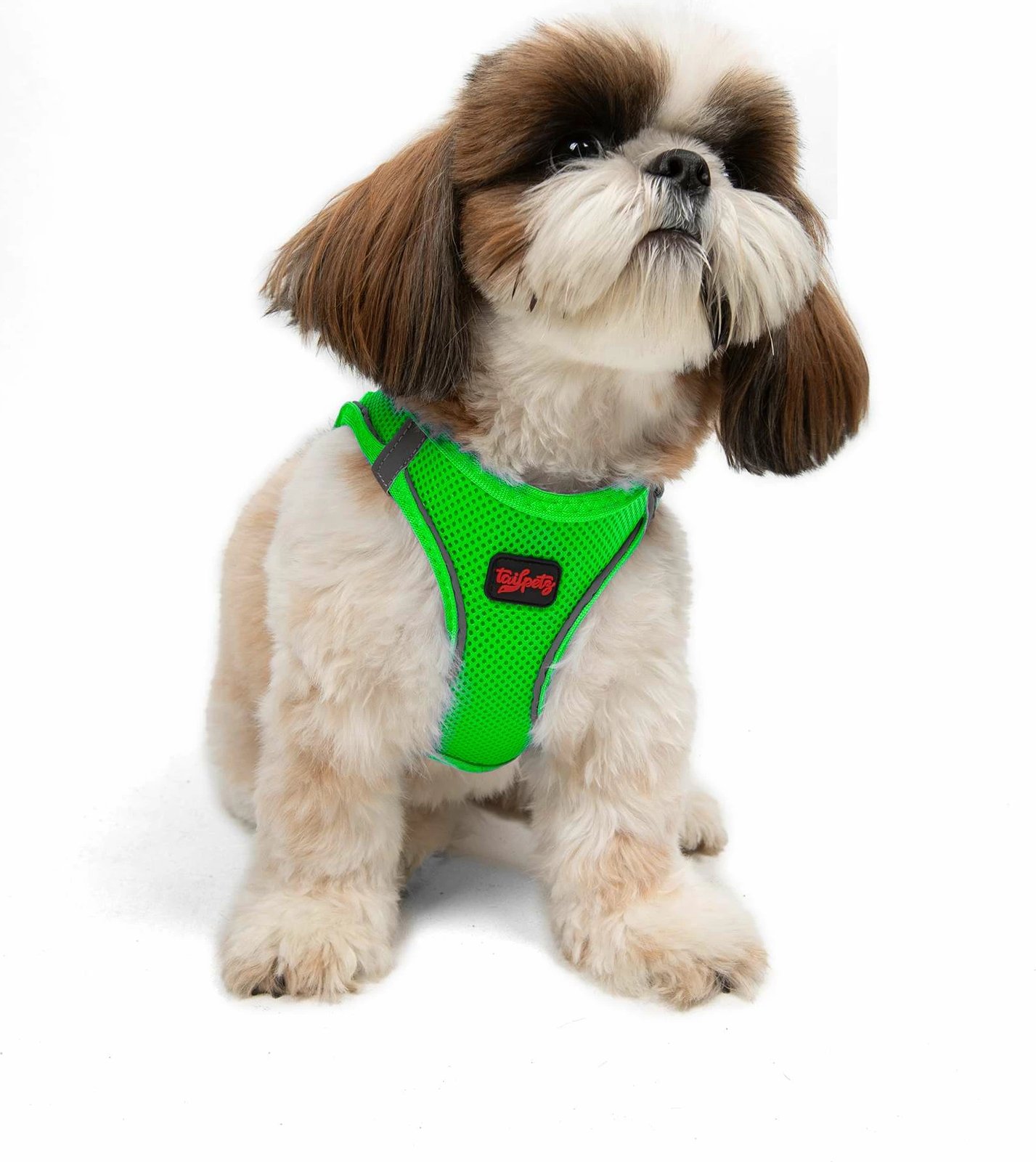 Parzmore për qen, ngjyrë Neo Green, Paws & Whiskers, Air-Mesh, S