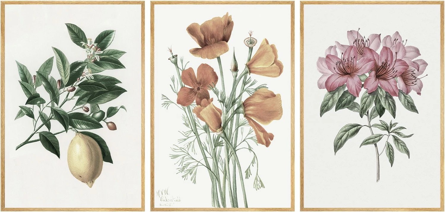 Pikturë dekorative me kornizë MDF (3 copë), Wallity, Huhu278, 20x30cm