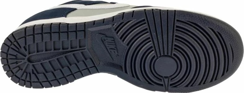 Atlete për meshkuj Nike, të kaltra