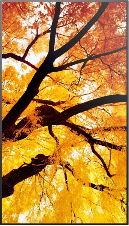 Monitor formati i madh Sharp MultiSync M502 50" 4K 550 cd/m² 60 Hz USB-C LAN altoparlantë, e zezë