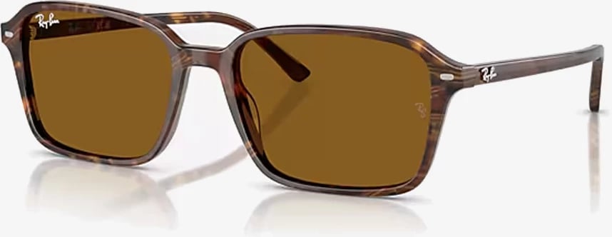Syze dielli Ray-Ban RB2231 141833 56