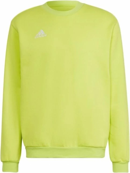 Duks për meshkuj adidas, jeshil