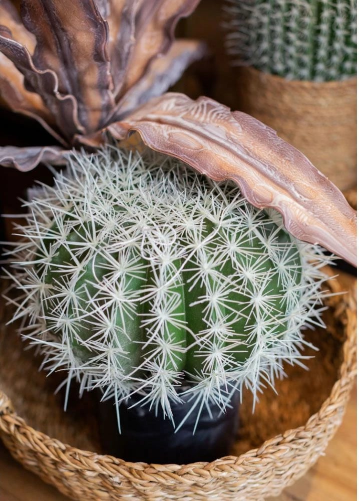 Bimë artificiale ferokaktus në vazo, material tekstili dhe plastike, jeshile-bardhë, 25x25x33 cm