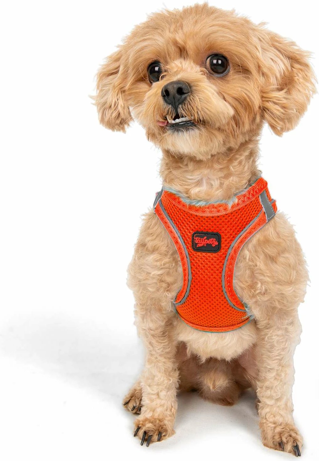 Parzmore për qen, Air-Mesh, ngjyrë portokalli Neo