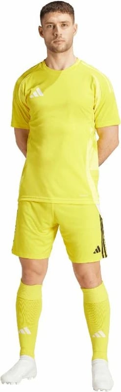 Shorce për meshkuj adidas Tiro 24, të verdha