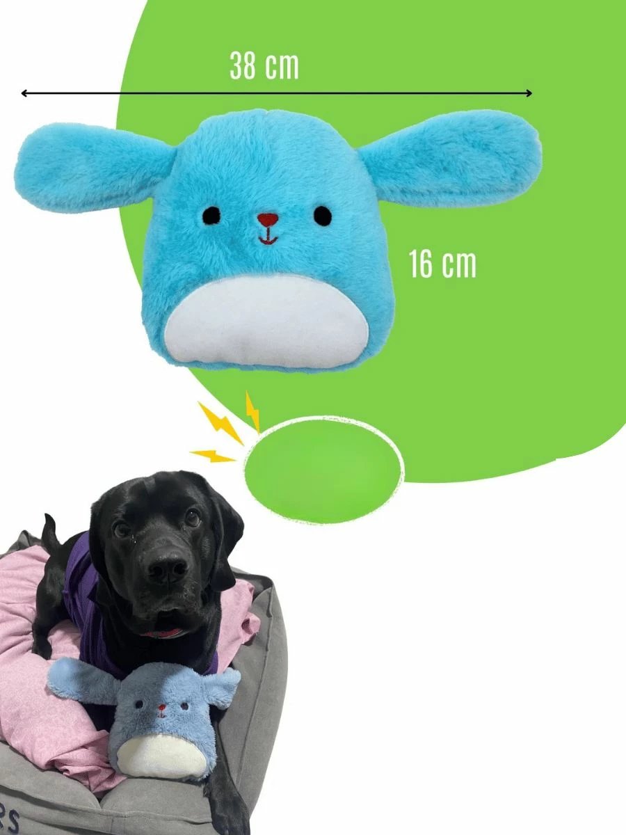 Lodër pellushi për qen, ngjyrë e kaltër, Paws & Whiskers, Havhav 10 10