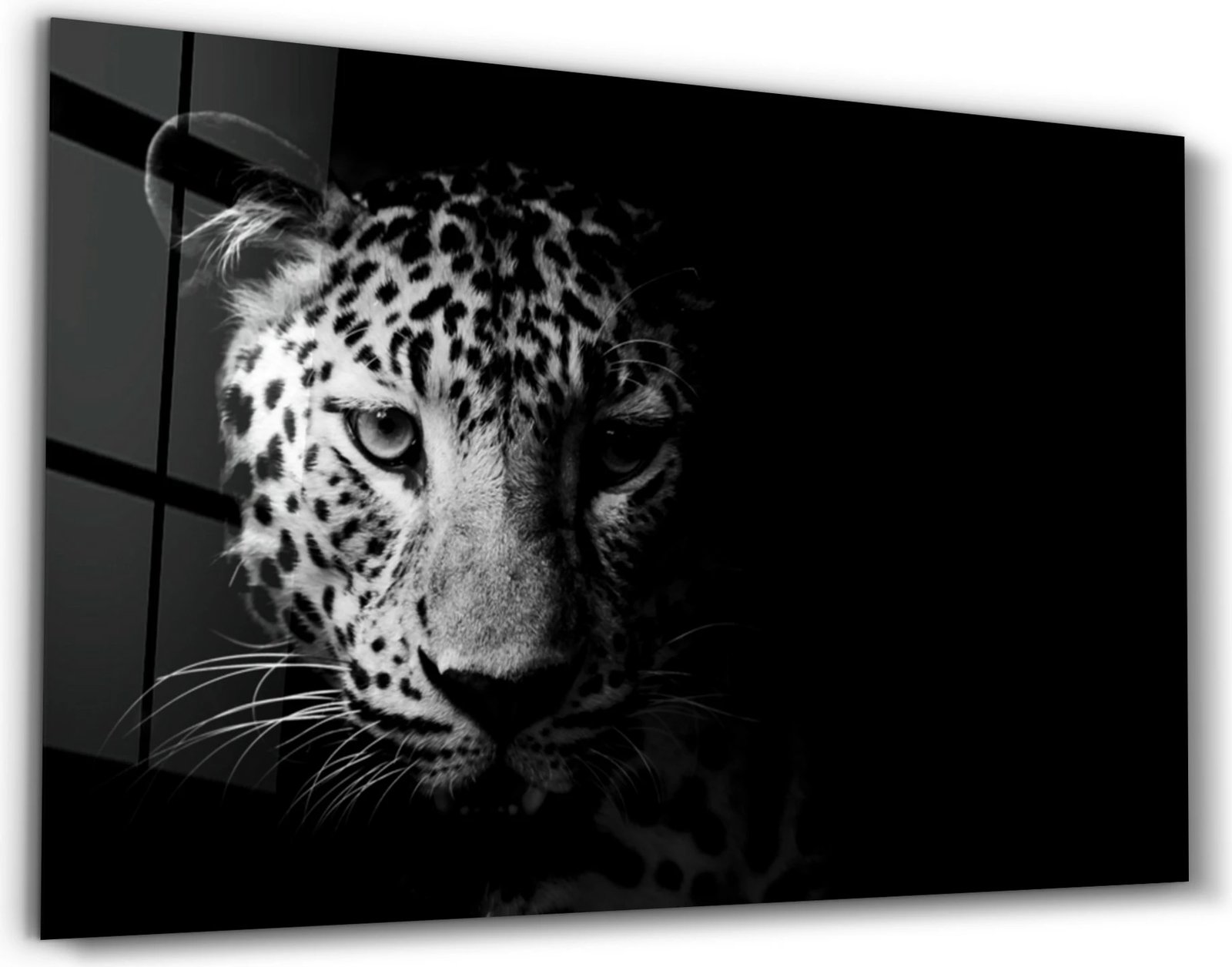 Pikturë dekorative prej xhami të temperuar, Wallity, OGLS-1046, 46x72cm