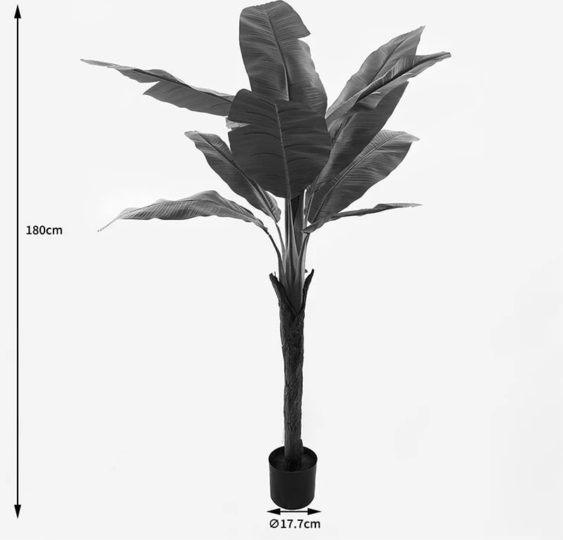 Bimë dekorative tropikale në vazo, Musa Inart, ngjyrë e gjelbër, 105x180cm