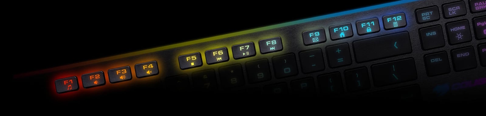 Tastier Vantar S Cougar