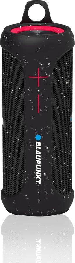 Altoparlant Portativ BLAUPUNKT BT22TWS