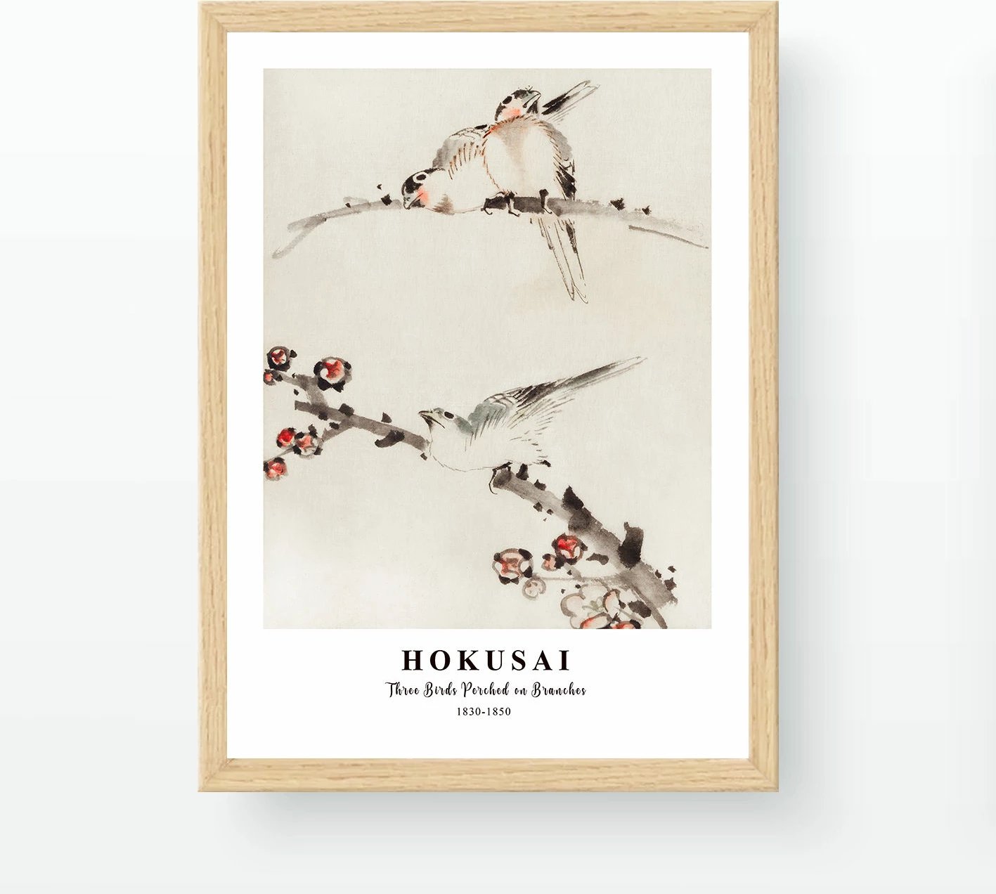 Pikturë dekorative me kornizë, shumëngjyrëshe, NC426233-3545