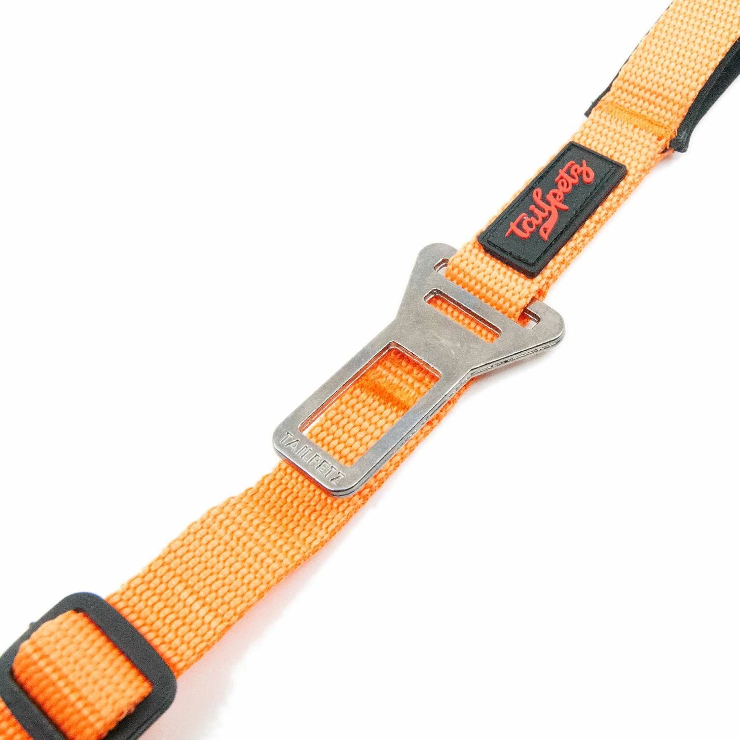 Litar për qen, Paws & Whiskers, udhëtim, portokalli