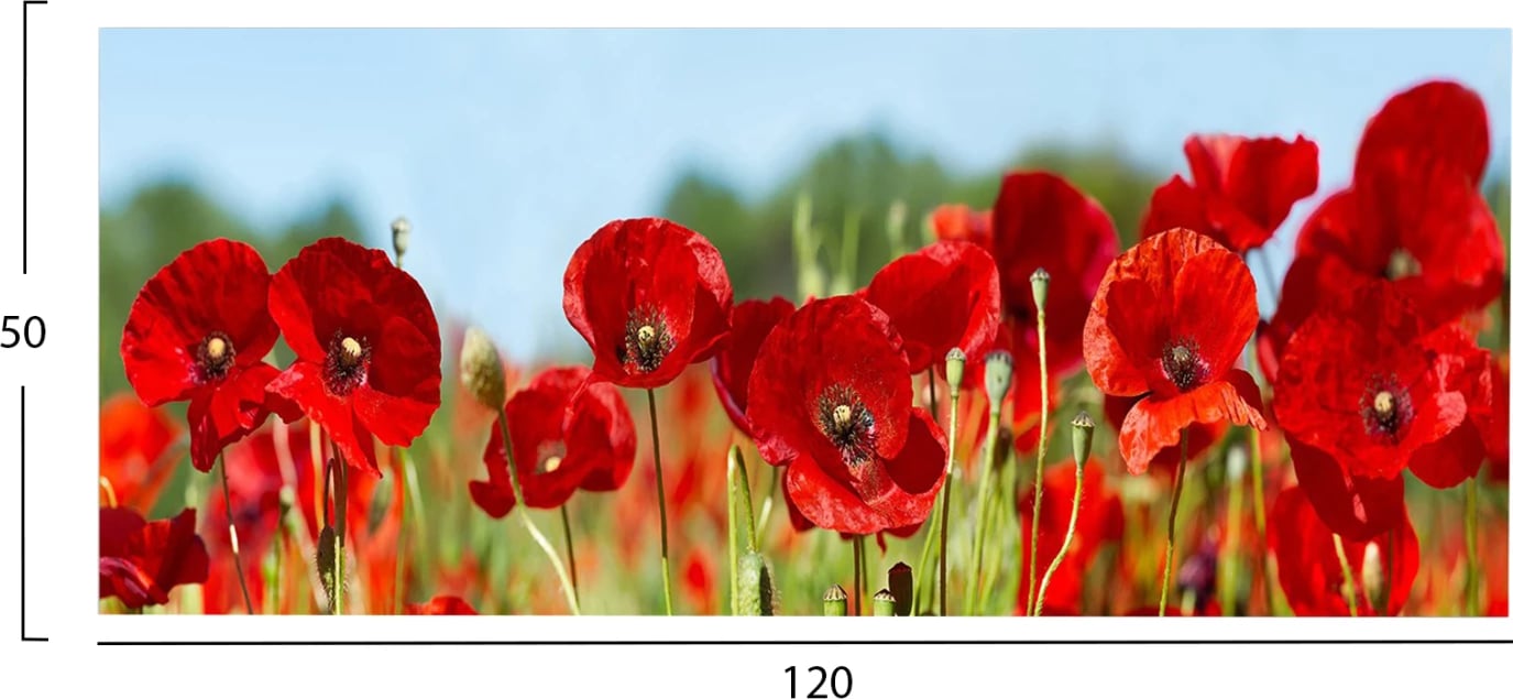 Pikturë muri GOBI, lulekuqe, kanavacë e printuar, 120x3x50cm