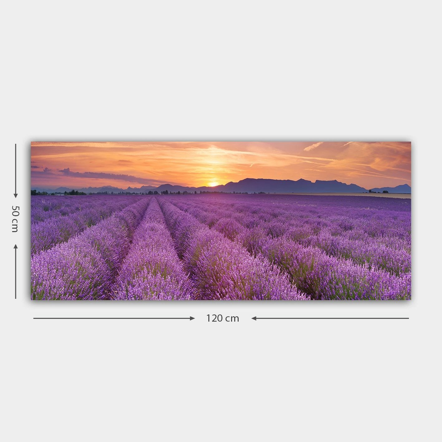 Pikturë dekorative në kanavacë, shumëngjyrëshe, YTY398412370_50120, 50x120cm