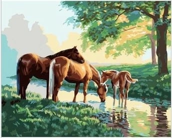 Mozaik diamantësh Norimpex Horses by the River, 40x30cm, shumëngjyrësh