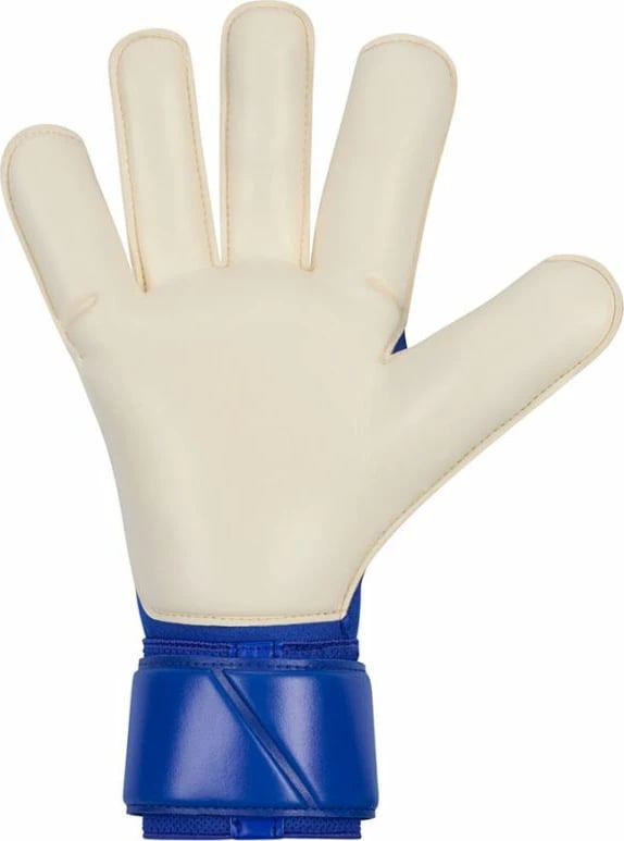 Doreza portieri Nike