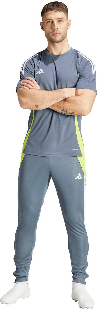 Pantallona sportive adidas për meshkuj, gri