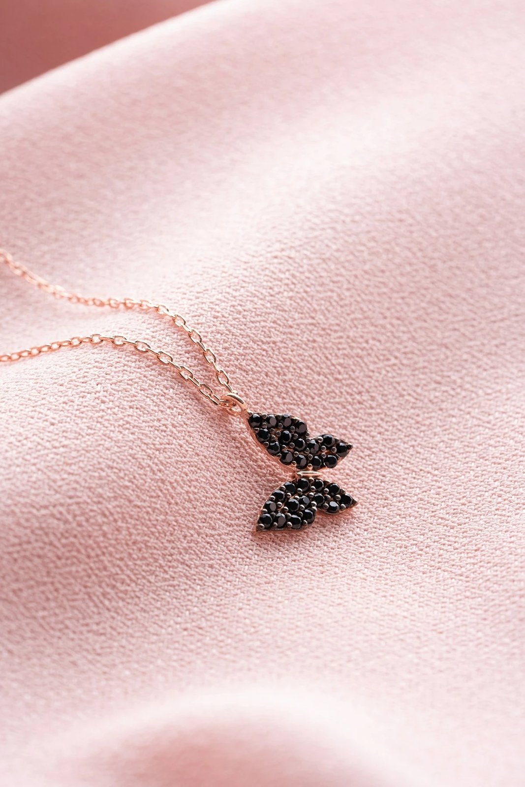 Varëse argjendi, flutur, Jumeon, NRZ998846