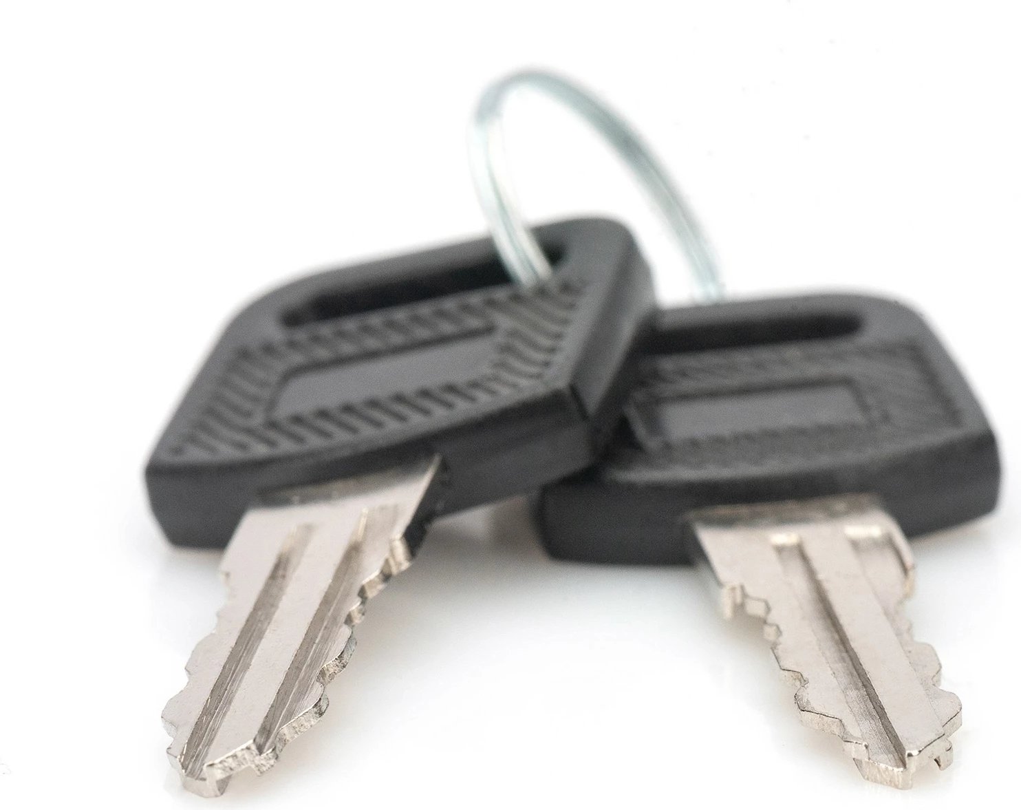 Çelësa Digitus DN-KEY-WM për kasë rrjeti, 2 copë, zi/argjendtë Çelësa Digitus DN-KEY-WM për kasë rrjeti, 2 copë, zi/argjendtë