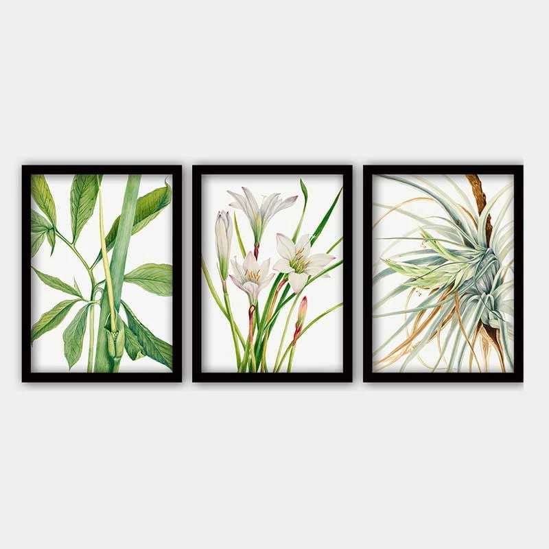 Pikturë dekorative me kornizë (3 copë), Wallity, 3SC_12621251_5575