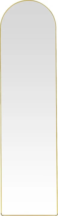 Pasqyrë dyshemeje Plaza, alumin, ngjyrë ari, 40x28x150cm