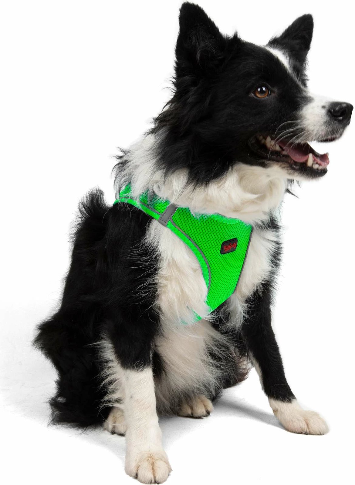 Parzmore për qen, ngjyrë Neo Green, Paws & Whiskers, Air-Mesh, S