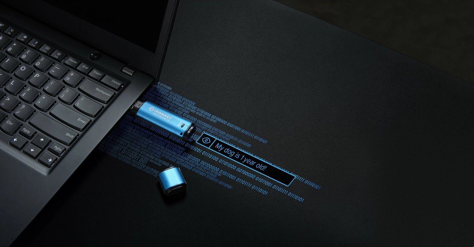 USB Kingston IronKey Vault Privacy 50 256GB, USB 3.2, zi/blu