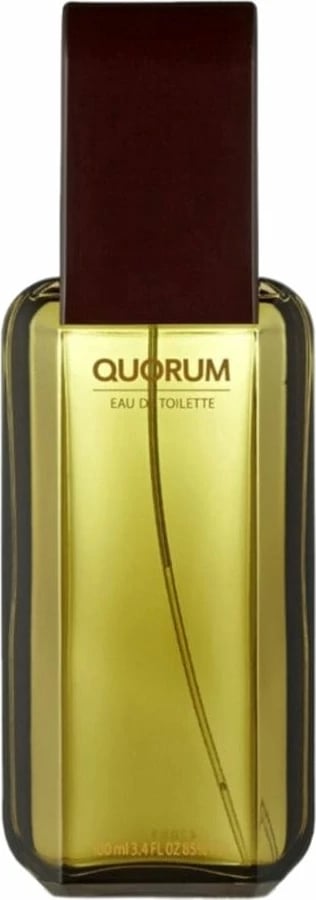 Eau de Toilette për meshkuj Antonio Puig Quorum 100ml
