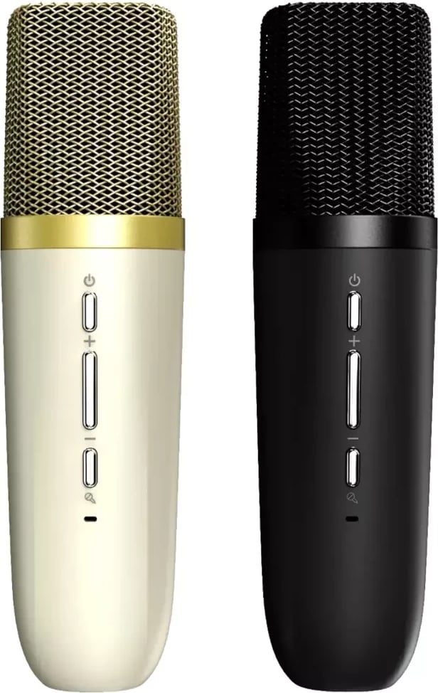 Altoparlant Hi-Future Vocalist-100