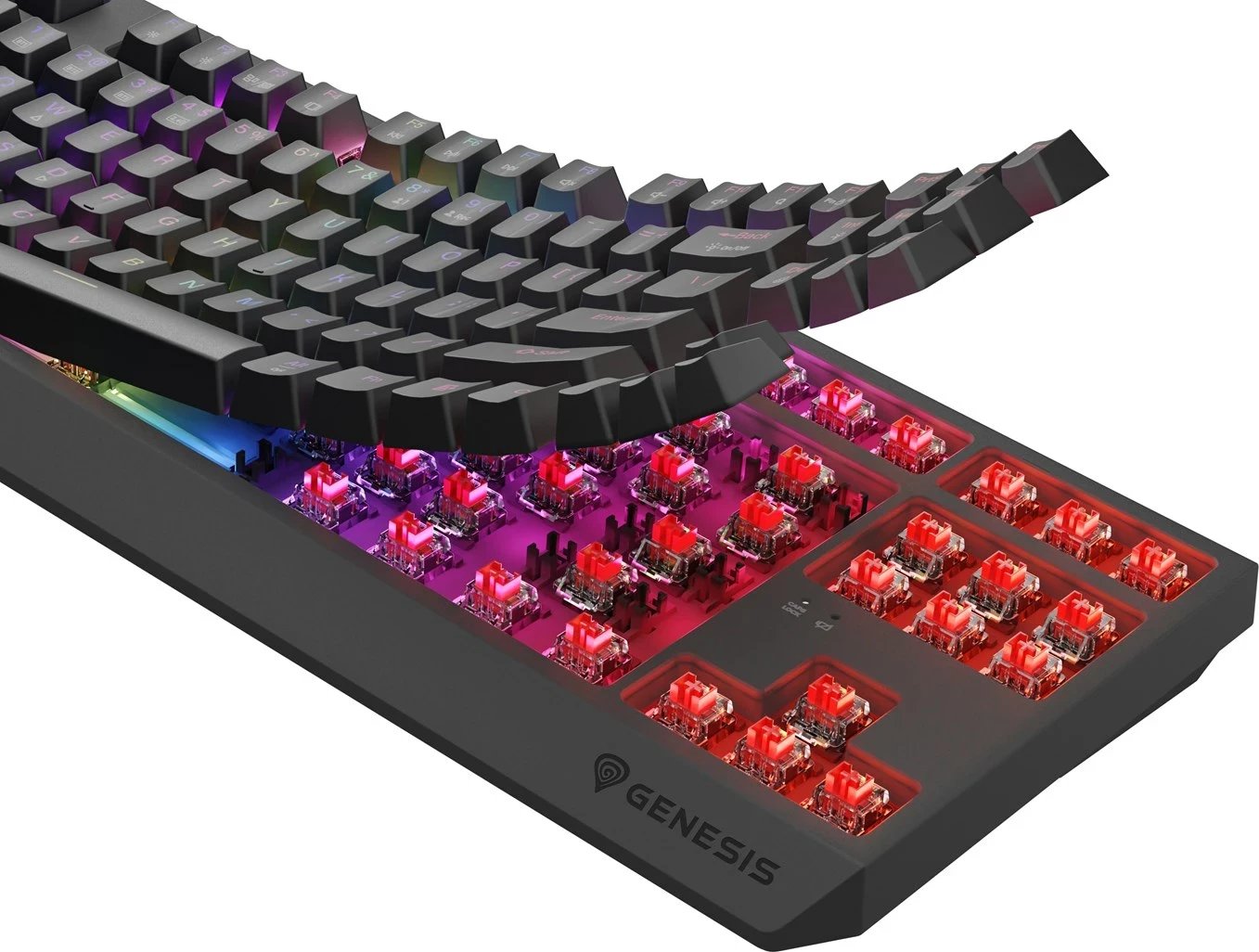 Tastierë mekanike GENESIS Thor 230 TKL, RGB, Wireless & USB Type-C, Gri Tastierë mekanike GENESIS Thor 230 TKL, RGB, Wireless & USB Type-C, Gri
