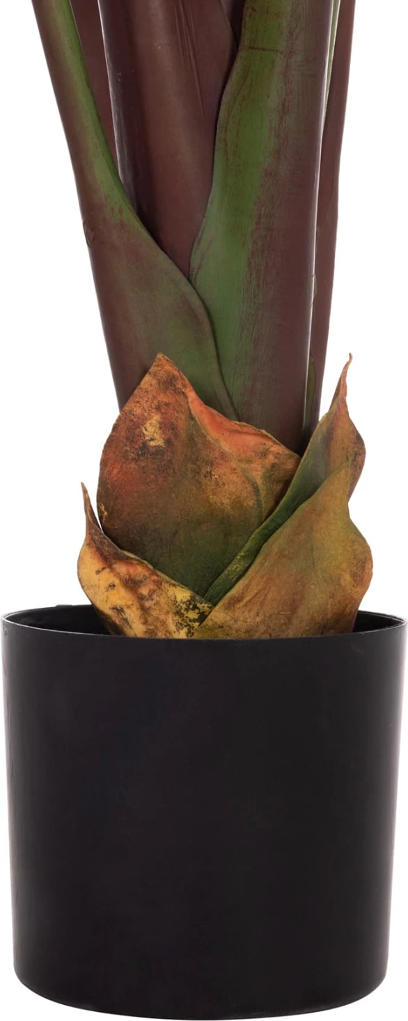 Bimë sintetike dekorative, banane japoneze, vazo, 85x75x225cm