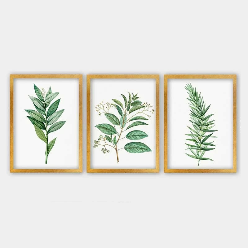 Pikturë dekorative me kornizë (3 copë), Wallity, 3AC_501923_3545