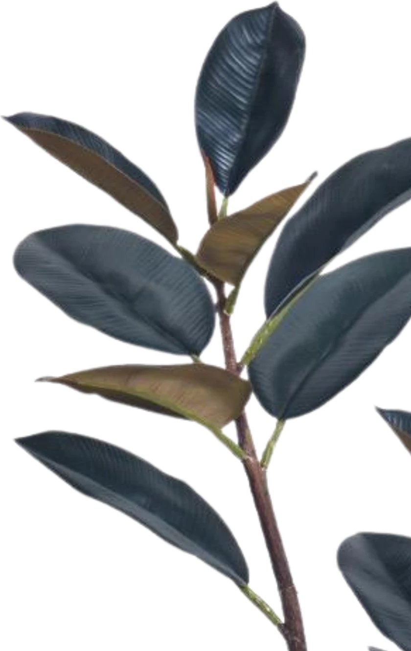 Bimë artificiale Dark Rubber Tree, 150 cm