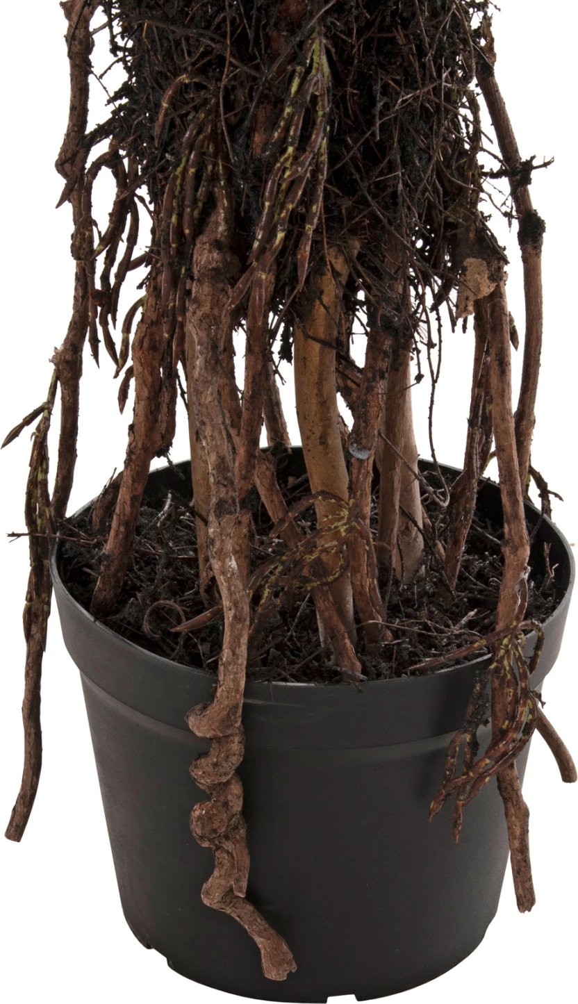 Bimë sintetike dekorative, pema Sisal në vazo, FH7989, 200H cm