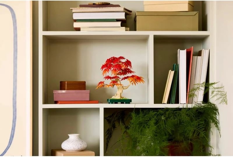 Set LEGO botanicals, Japanese Maple Bonsai