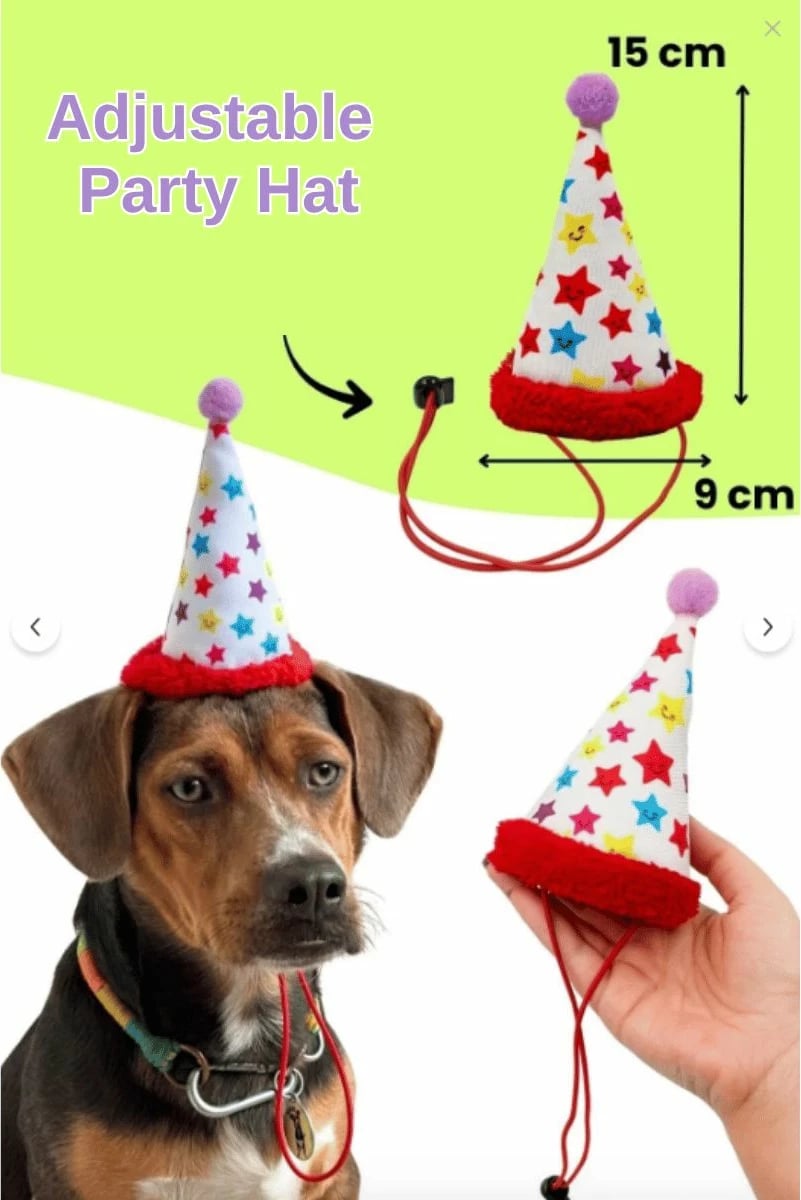 Set lodrash për qen, Paws & Whiskers, Havhav 1035, ngjyrë vjollcë, bardhë, kaltër