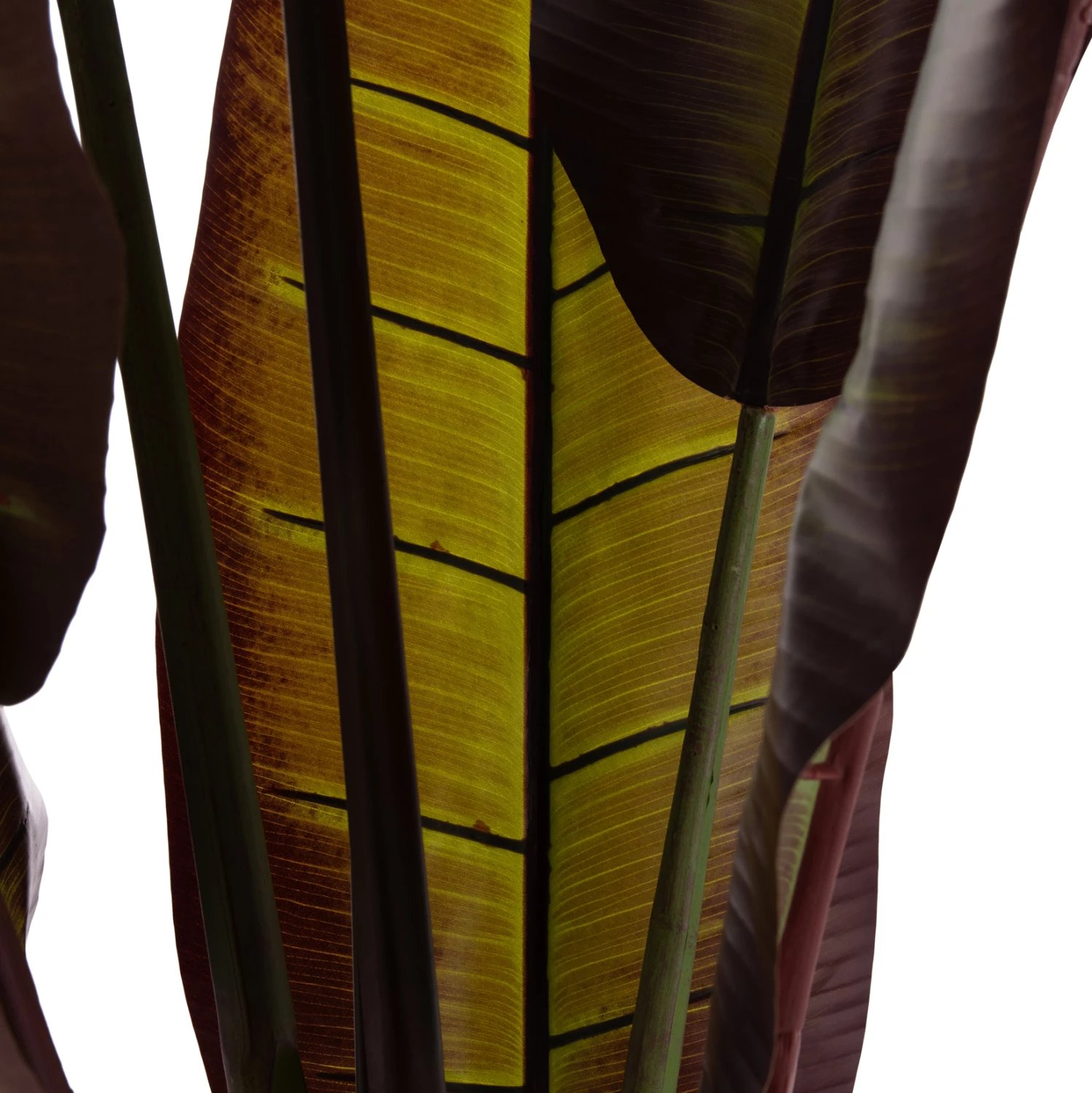 Bimë sintetike dekorative, banane japoneze, vazo, 85x75x225cm