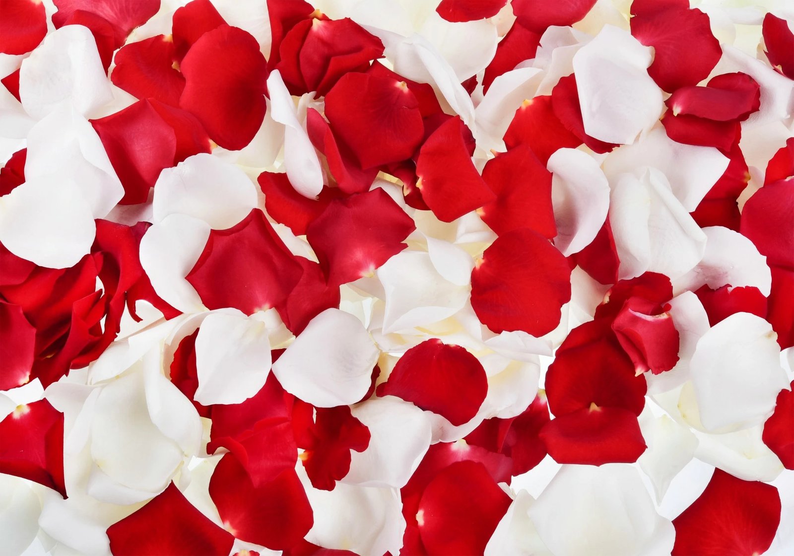 Set tapetash për banjo (2 copë), Mijolnir, CT-5223