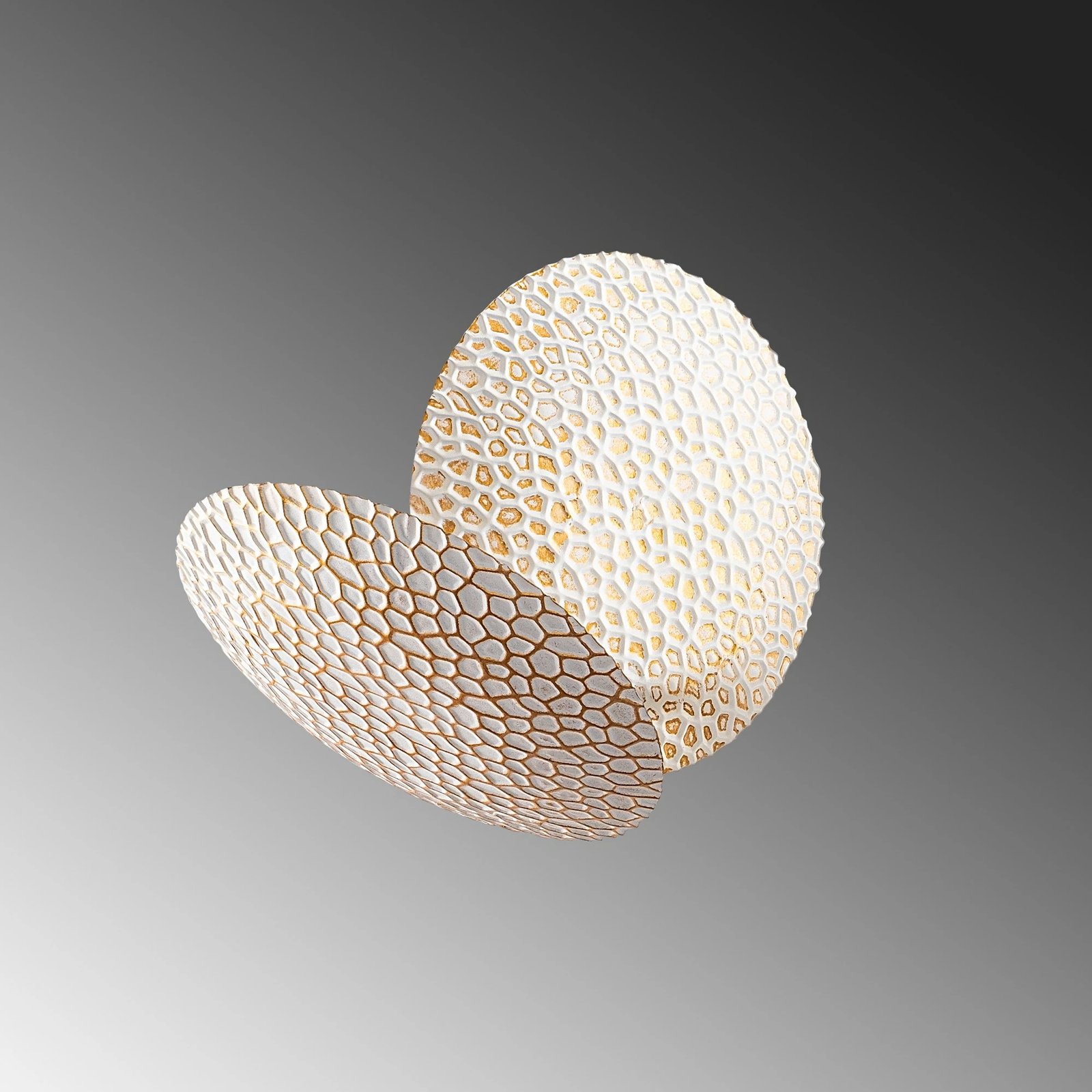 Llambë muri Opviq, Yosma-13646, e bardhë dhe e artë