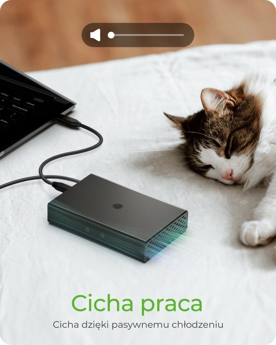 Kasë e jashtme IcyBox IB-RD2253-C31 për 2x 2.5" HDD/SSD, USB 3.2 Gen 2, RAID, e zezë