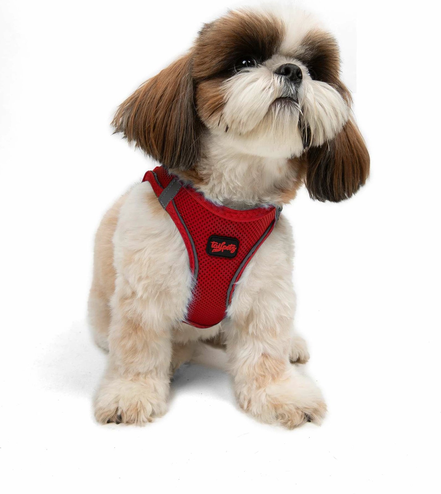 Parzmore për qen, Air-Mesh, e kuqe, Paws & Whiskers Parzmore për qen, Air-Mesh, e kuqe, Paws & Whiskers