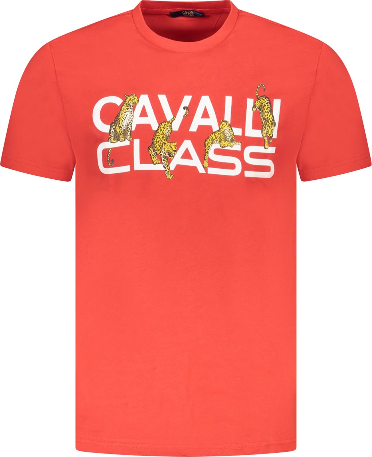 Maicë CAVALLI CLASS për meshkuj, e kuqe