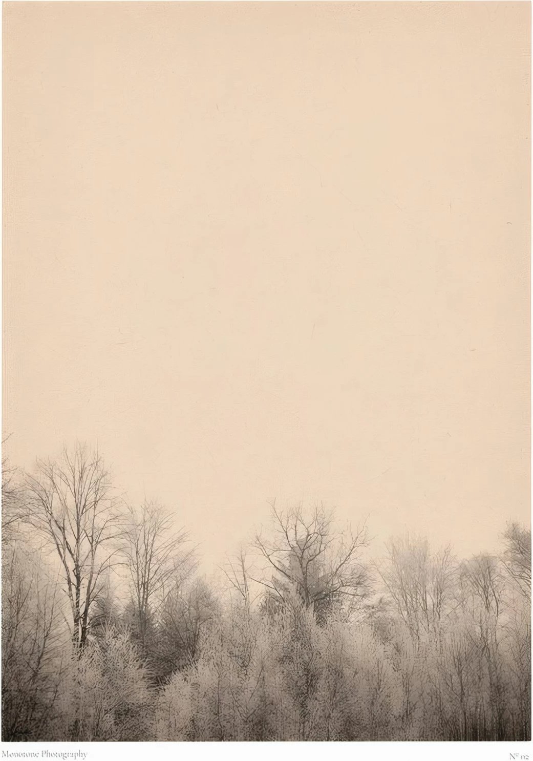 Pikturë dekorative me kornizë Wallity, Lmnmdl24