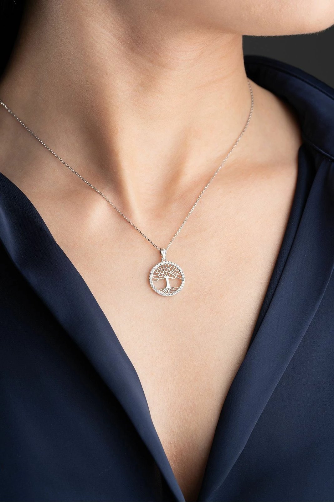 Varëse argjendi Jumeon, DL6230